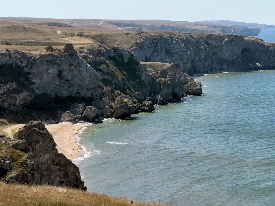 В Азовском море из-за рекордной солености появились новые виды рыб