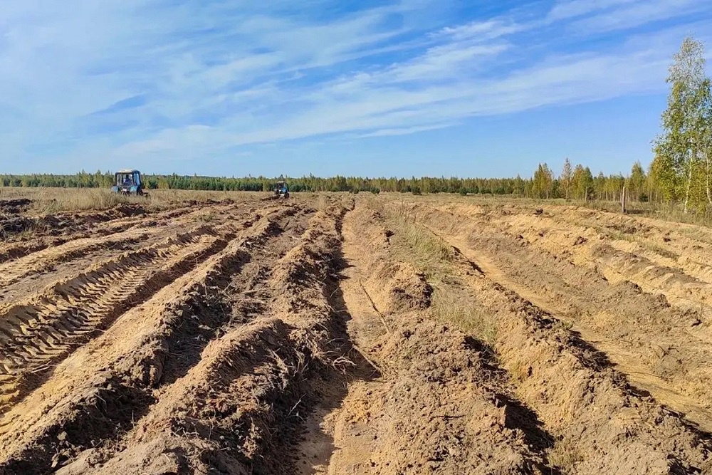 В Липецкой области посадят лес для уменьшения парниковых газов